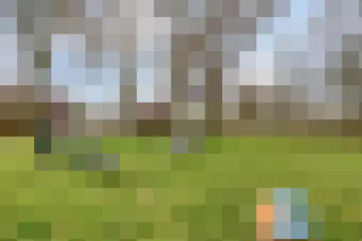 Zavelveldweg 10 Heel thumbnail 41