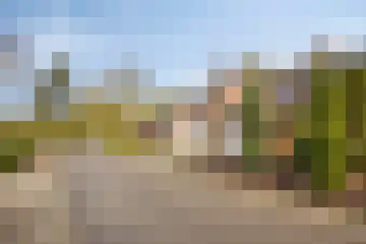 Zavelveldweg 10 Heel thumbnail 44