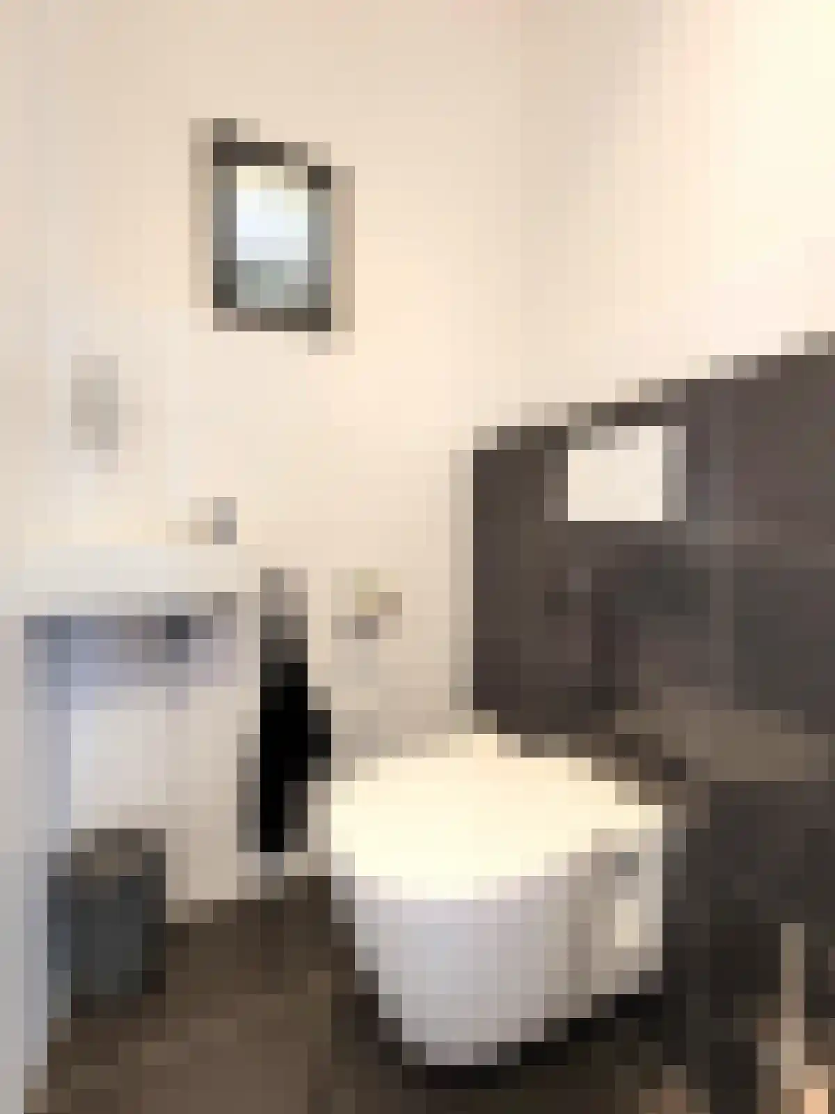 Zebrakever 2 Son en Breugel thumbnail 4