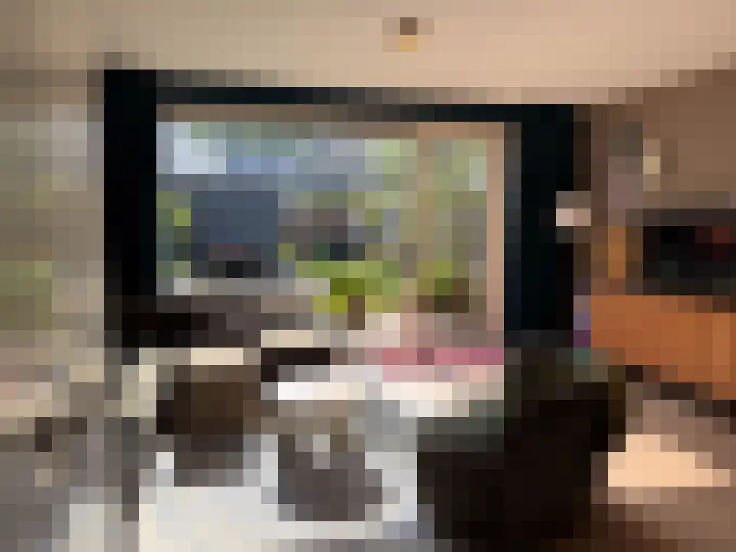 Zebrakever 26 Son en Breugel thumbnail 13
