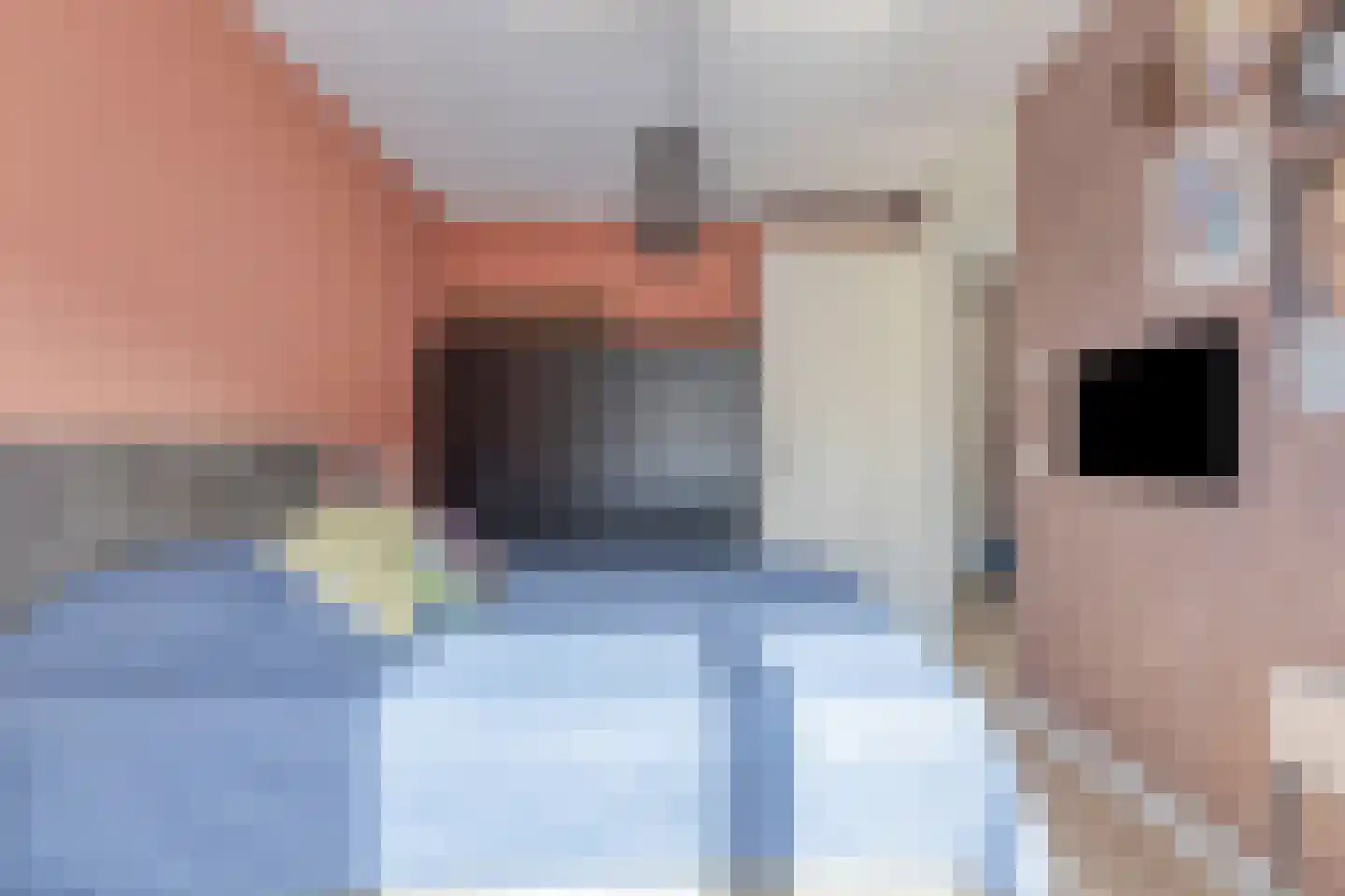 Zebrakever 26 Son en Breugel thumbnail 19