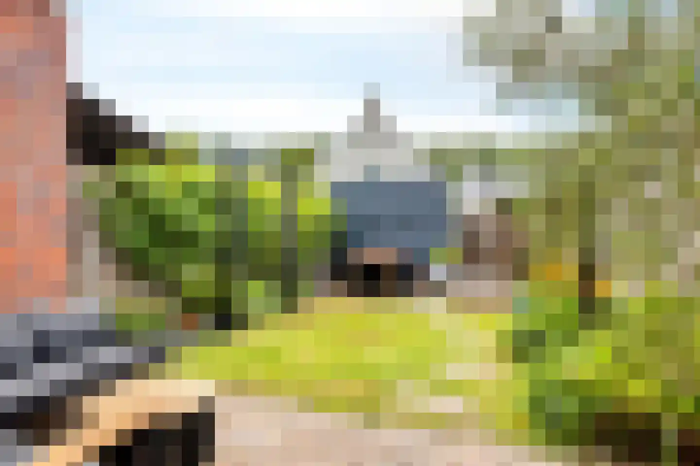 Zebrakever 26 Son en Breugel thumbnail 28