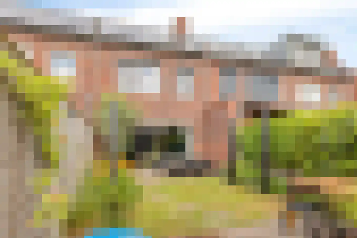 Zebrakever 26 Son en Breugel thumbnail 33