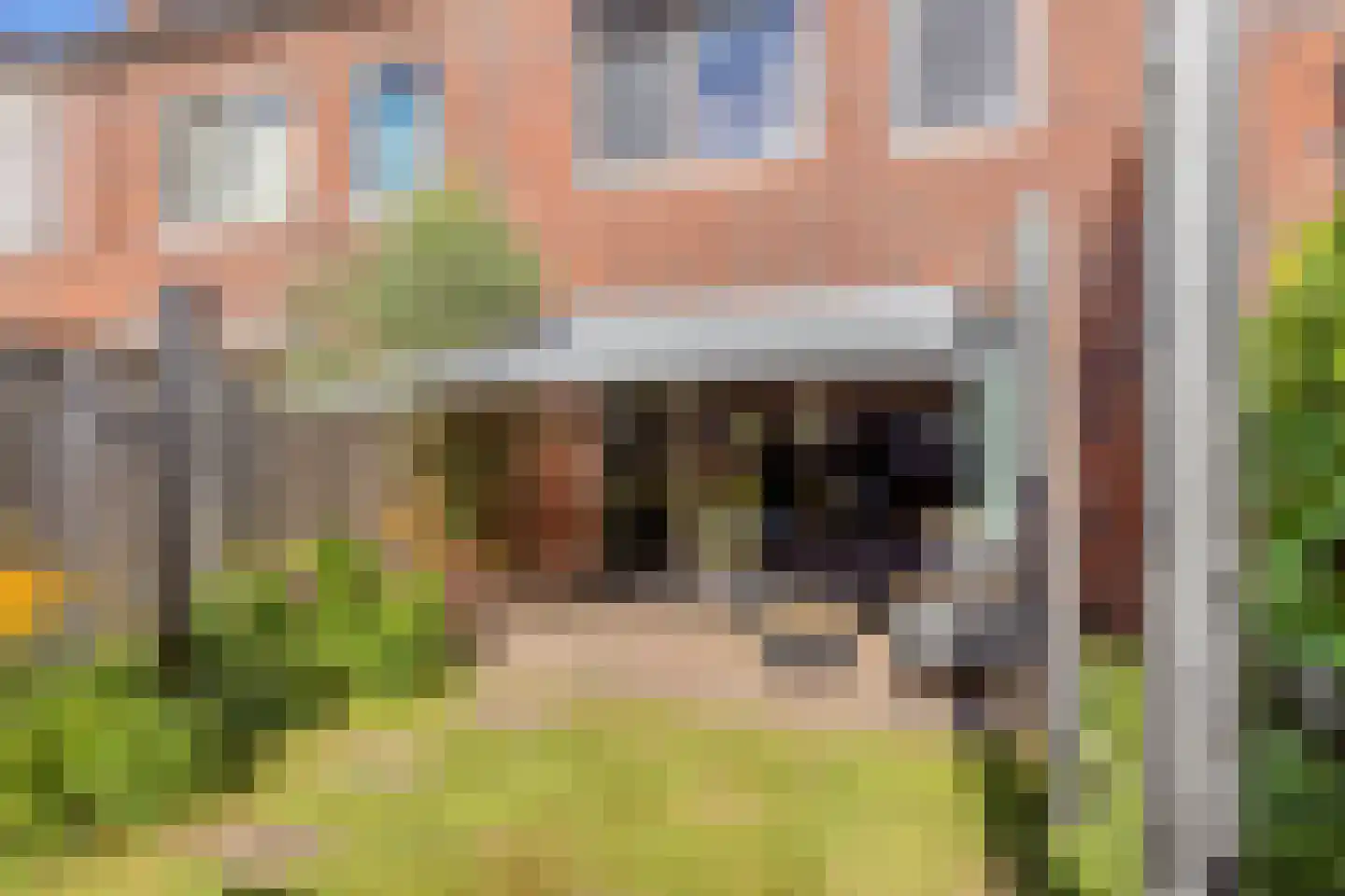 Zebrakever 26 Son en Breugel thumbnail 35