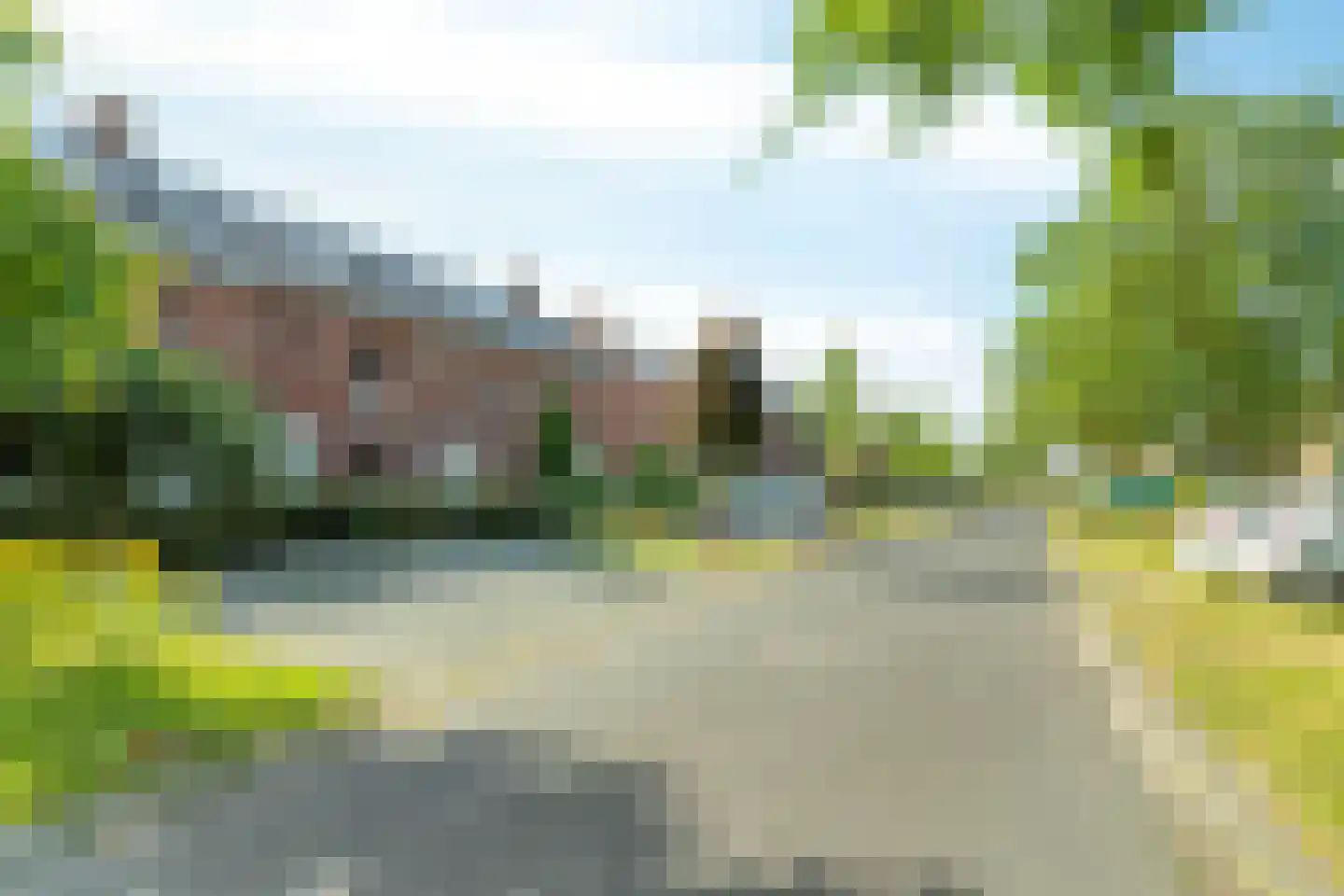 Zebrakever 26 Son en Breugel thumbnail 41