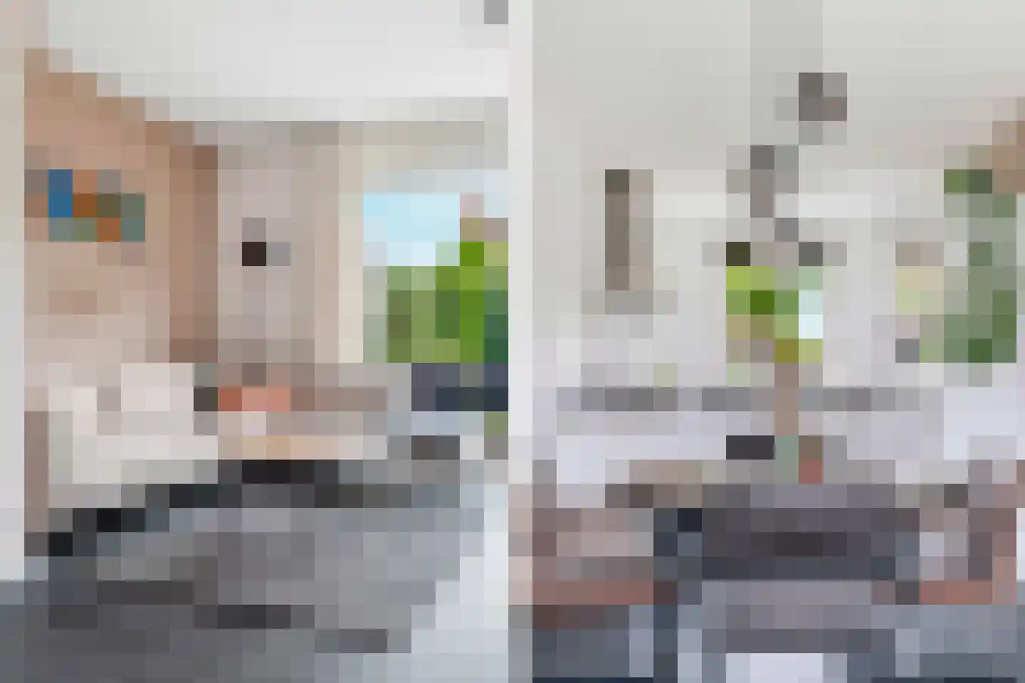 Zebrakever 32 Son en Breugel thumbnail 11