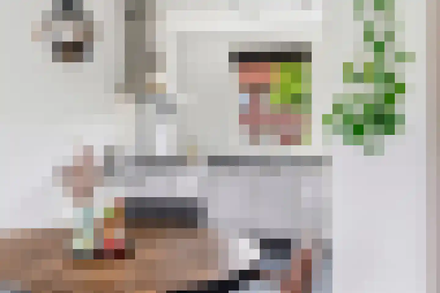 Zebrakever 32 Son en Breugel thumbnail 12