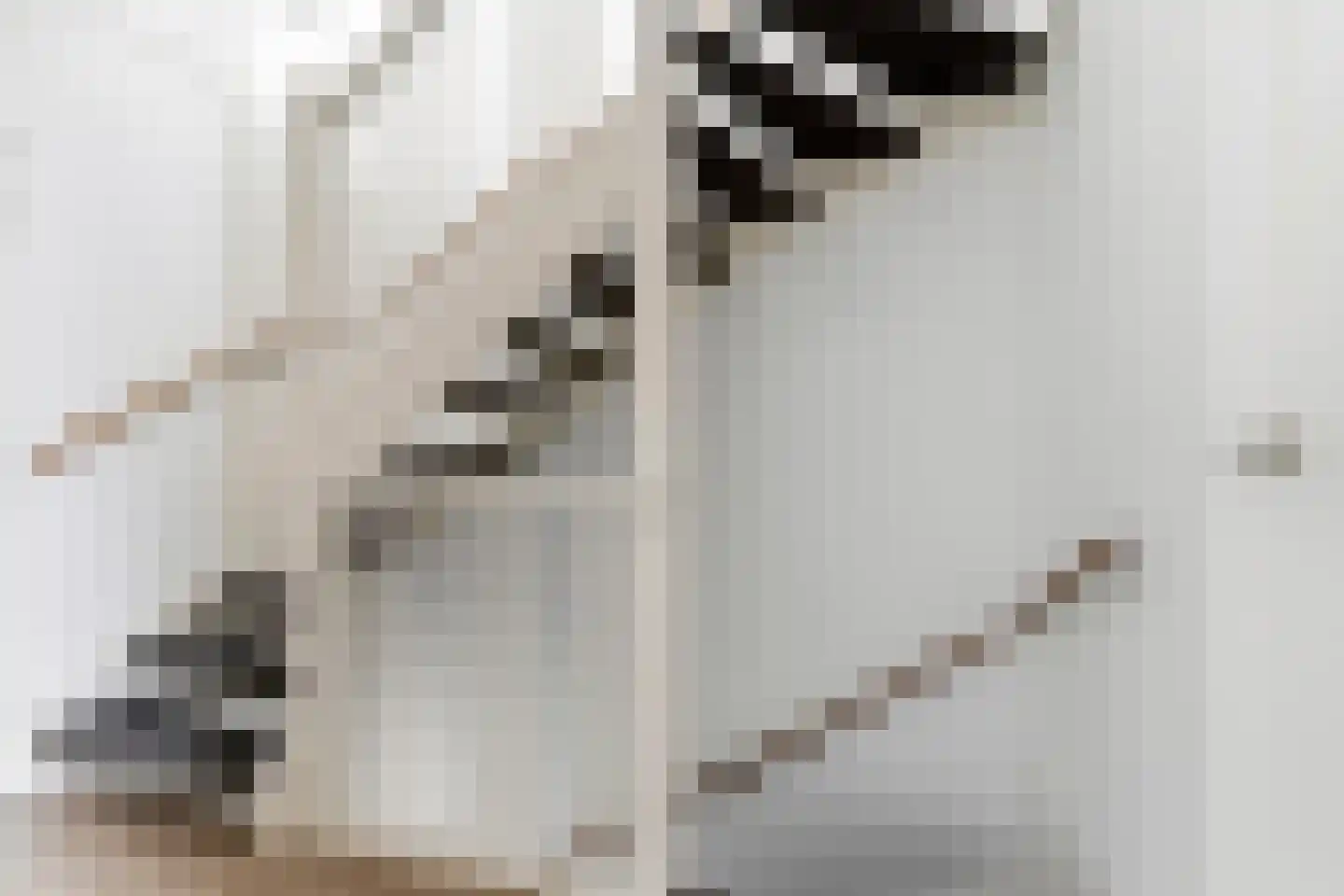 Zebrakever 32 Son en Breugel thumbnail 23
