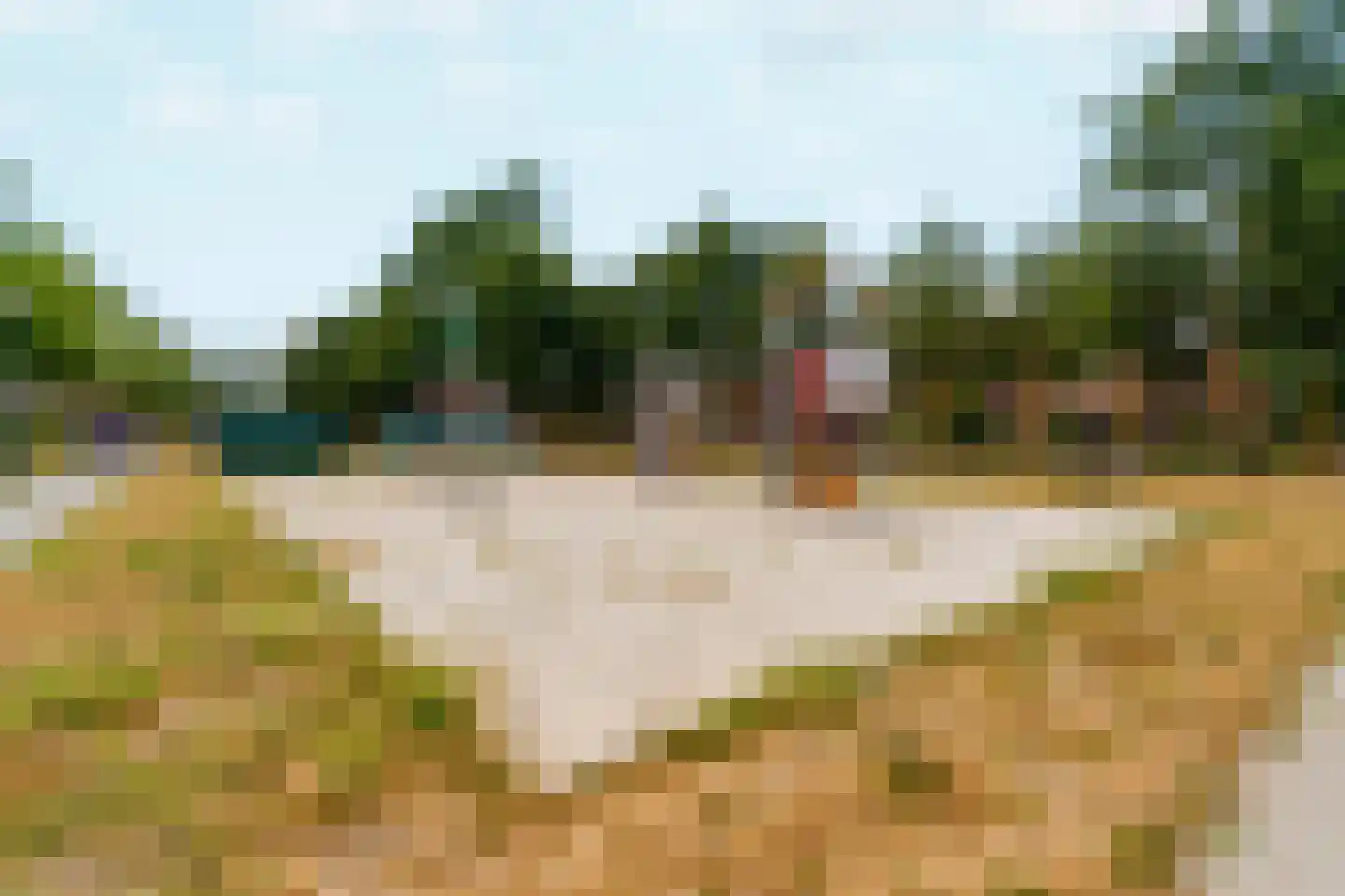 Zebrakever 32 Son en Breugel thumbnail 33