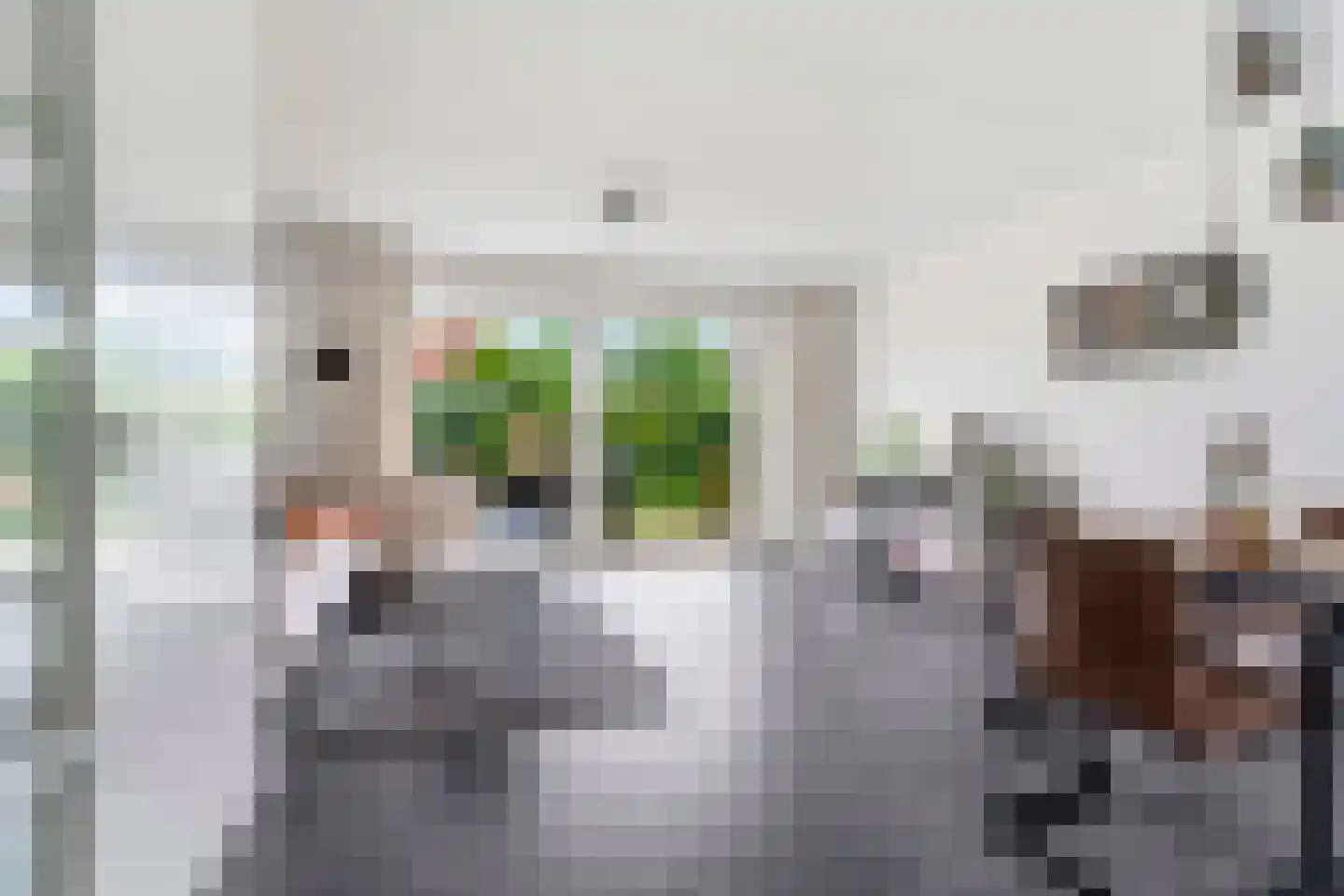 Zebrakever 32 Son en Breugel thumbnail 6