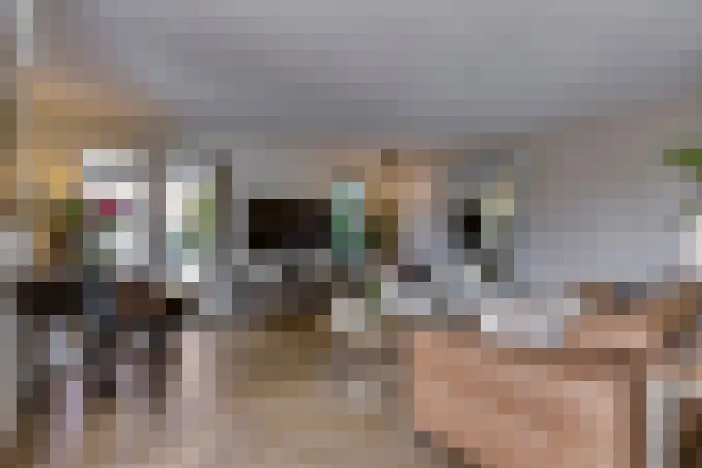 Zebrakever 41 Son en Breugel thumbnail 11