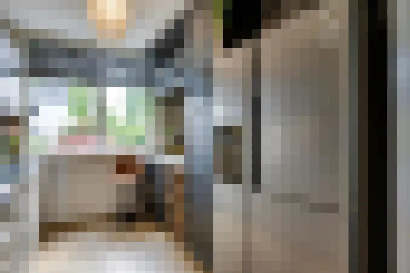Zebrakever 41 Son en Breugel thumbnail 20