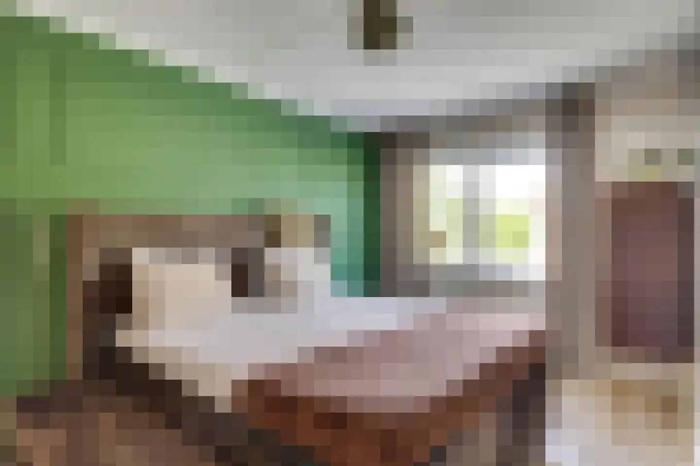 Zebrakever 41 Son en Breugel thumbnail 27