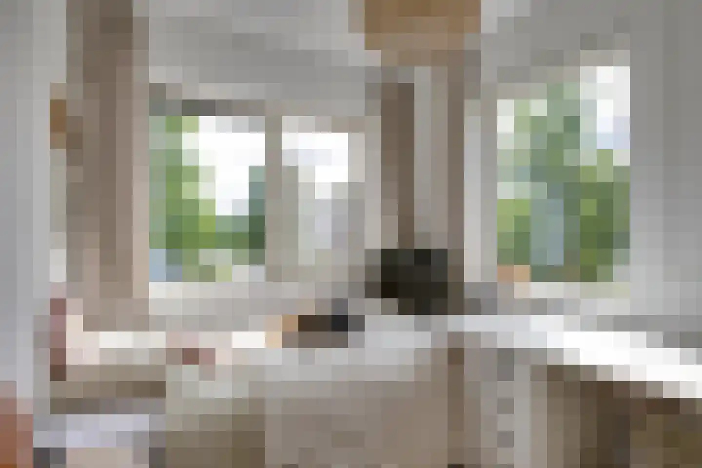 Zebrakever 41 Son en Breugel thumbnail 31
