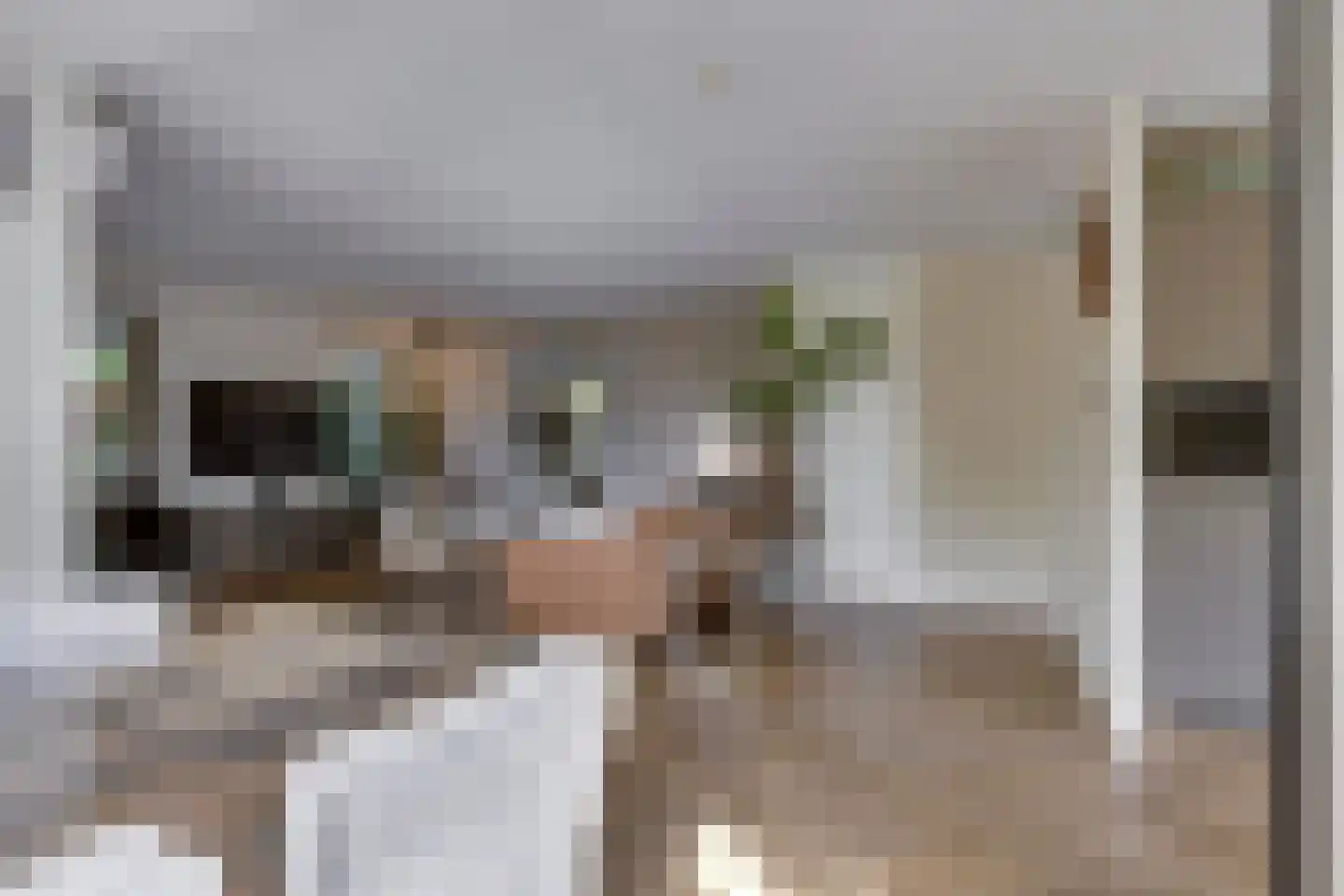 Zebrakever 41 Son en Breugel thumbnail 4