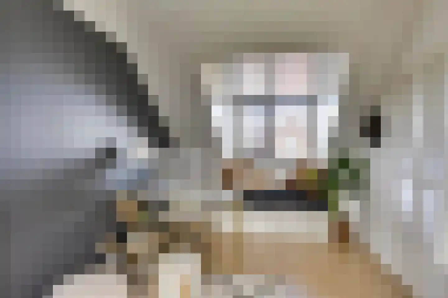 Zebrakever 41 Son en Breugel thumbnail 41