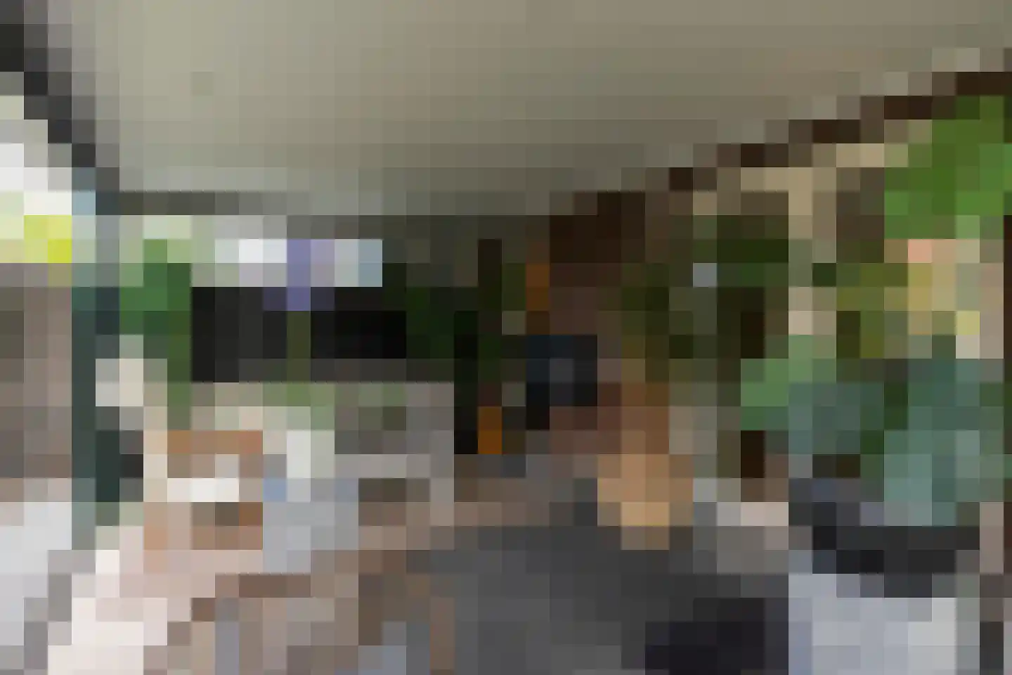 Zebrakever 41 Son en Breugel thumbnail 48