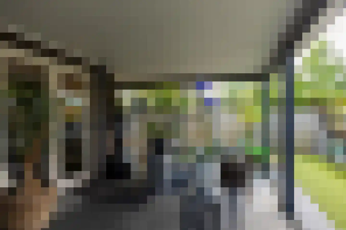 Zebrakever 41 Son en Breugel thumbnail 50