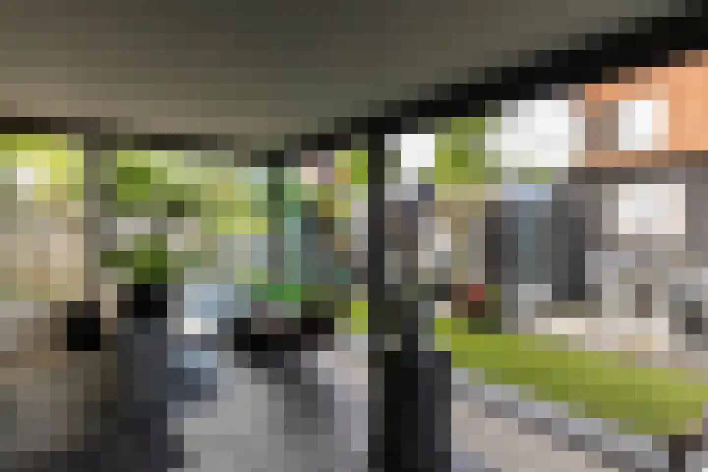 Zebrakever 41 Son en Breugel thumbnail 51