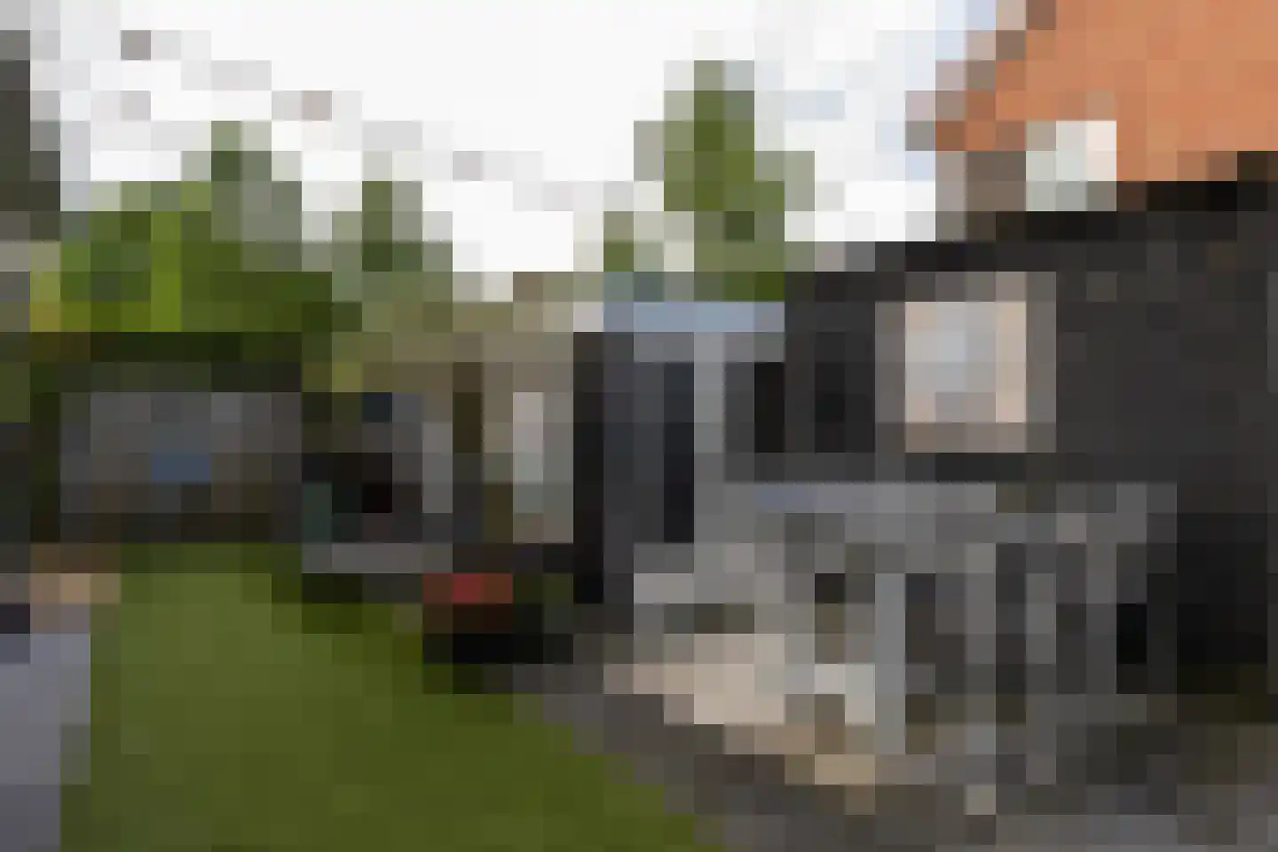 Zebrakever 41 Son en Breugel thumbnail 56
