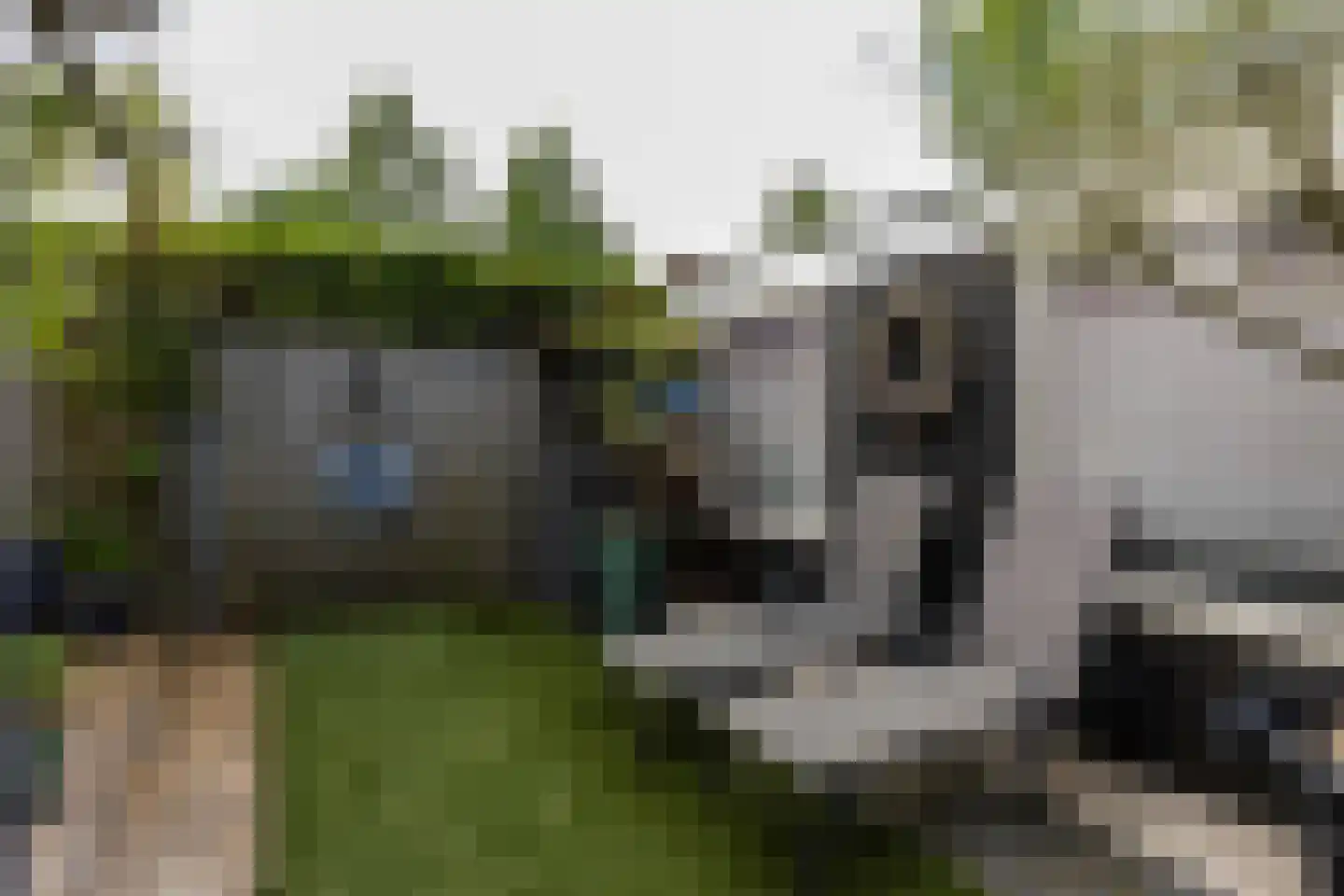 Zebrakever 41 Son en Breugel thumbnail 58