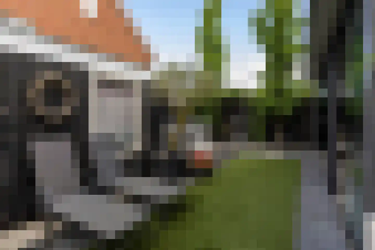 Zebrakever 41 Son en Breugel thumbnail 60