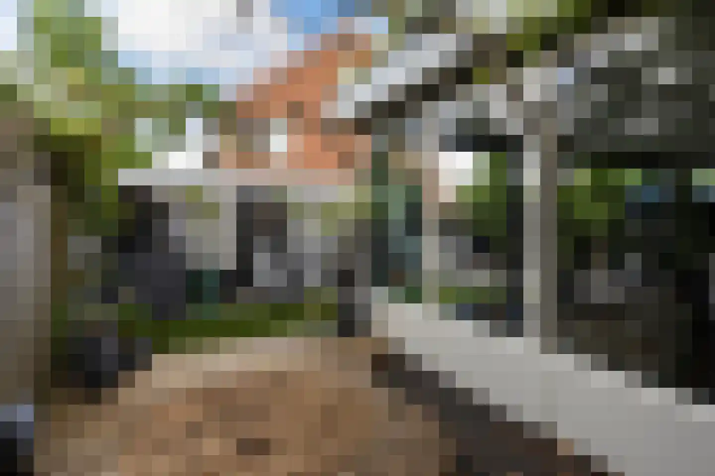 Zebrakever 41 Son en Breugel thumbnail 61