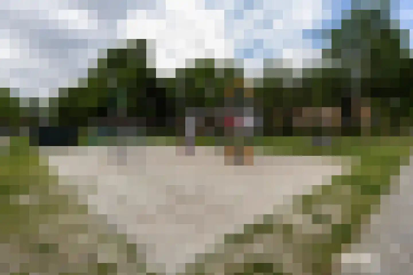 Zebrakever 41 Son en Breugel thumbnail 65