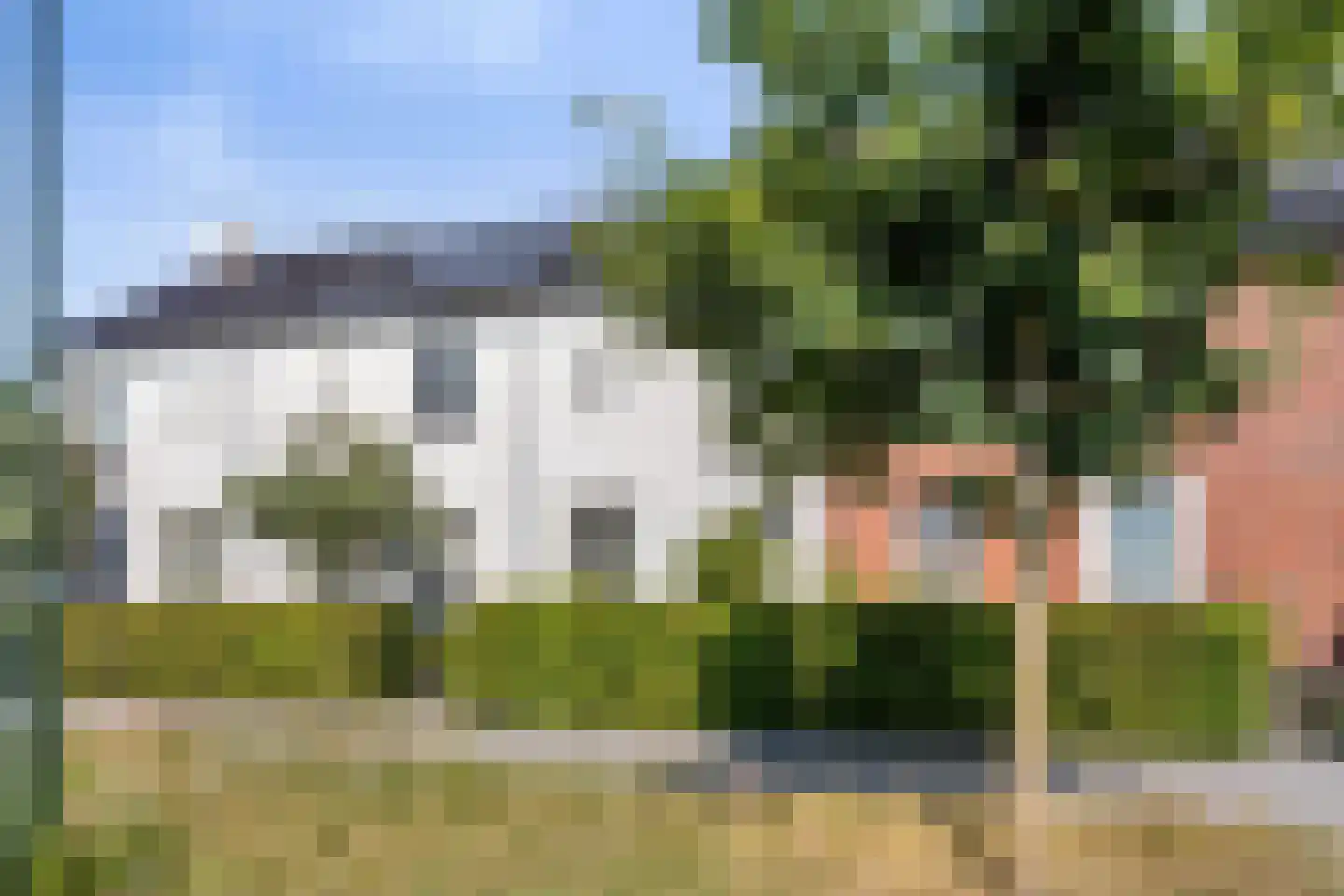 Zebrakever 50 Son en Breugel