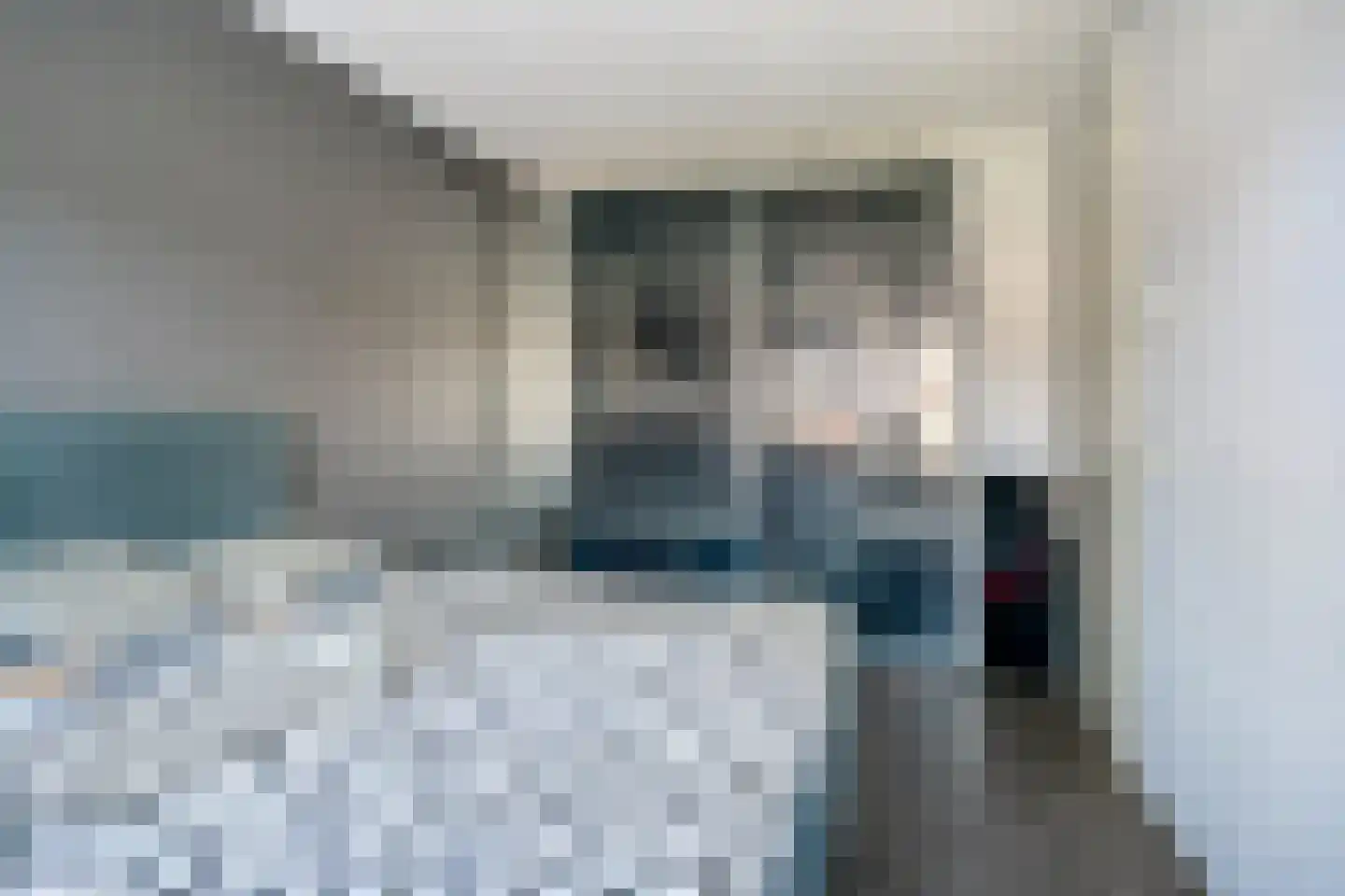 Zebrakever 50 Son en Breugel thumbnail 9