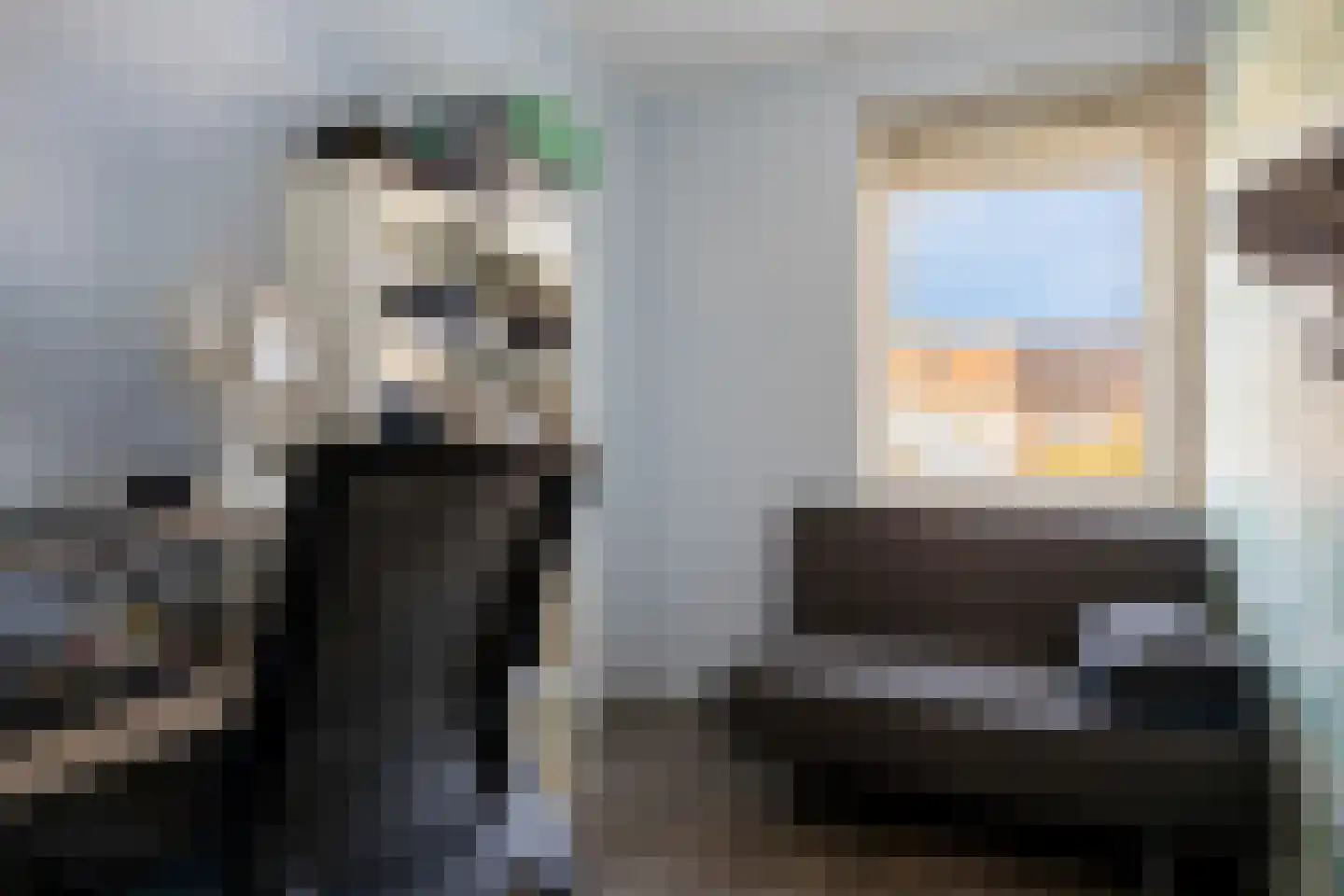 Zebrakever 50 Son en Breugel thumbnail 13