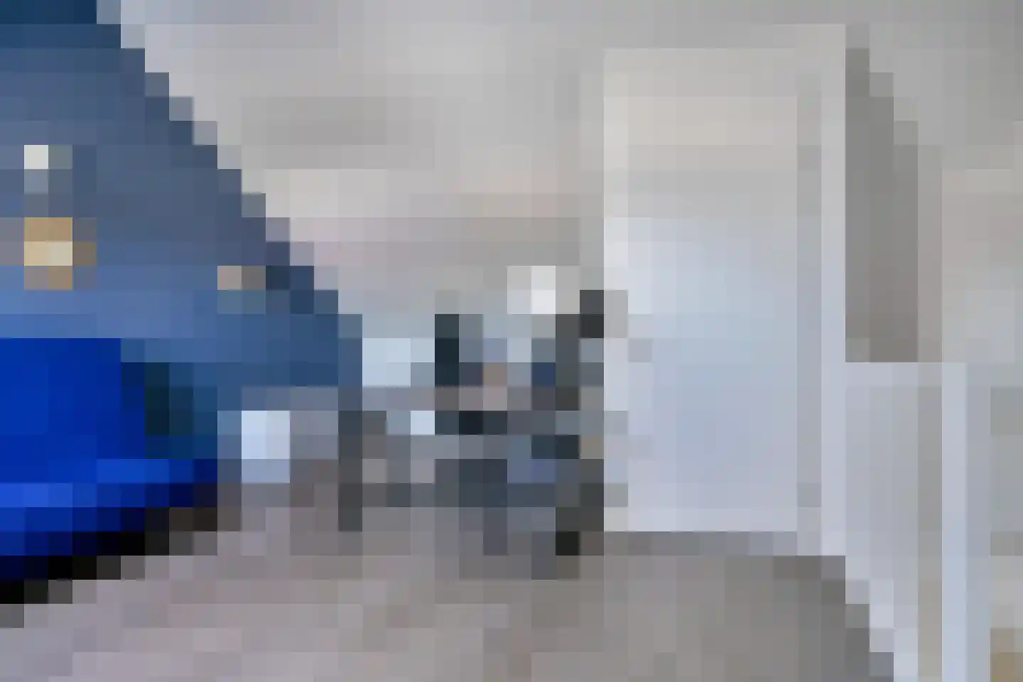 Zebrakever 50 Son en Breugel thumbnail 17