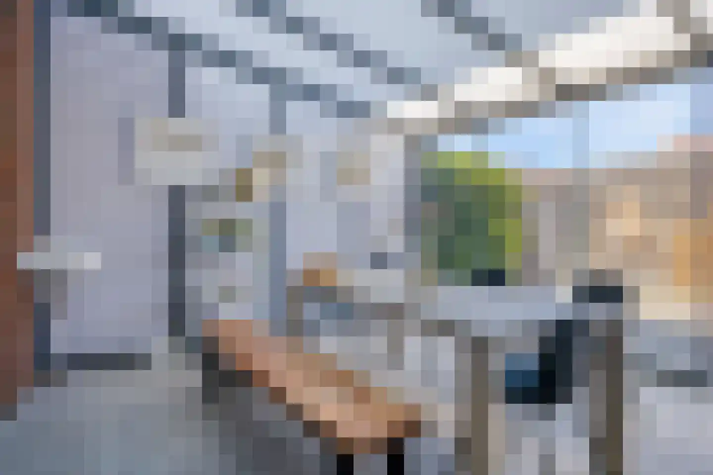 Zebrakever 50 Son en Breugel thumbnail 19