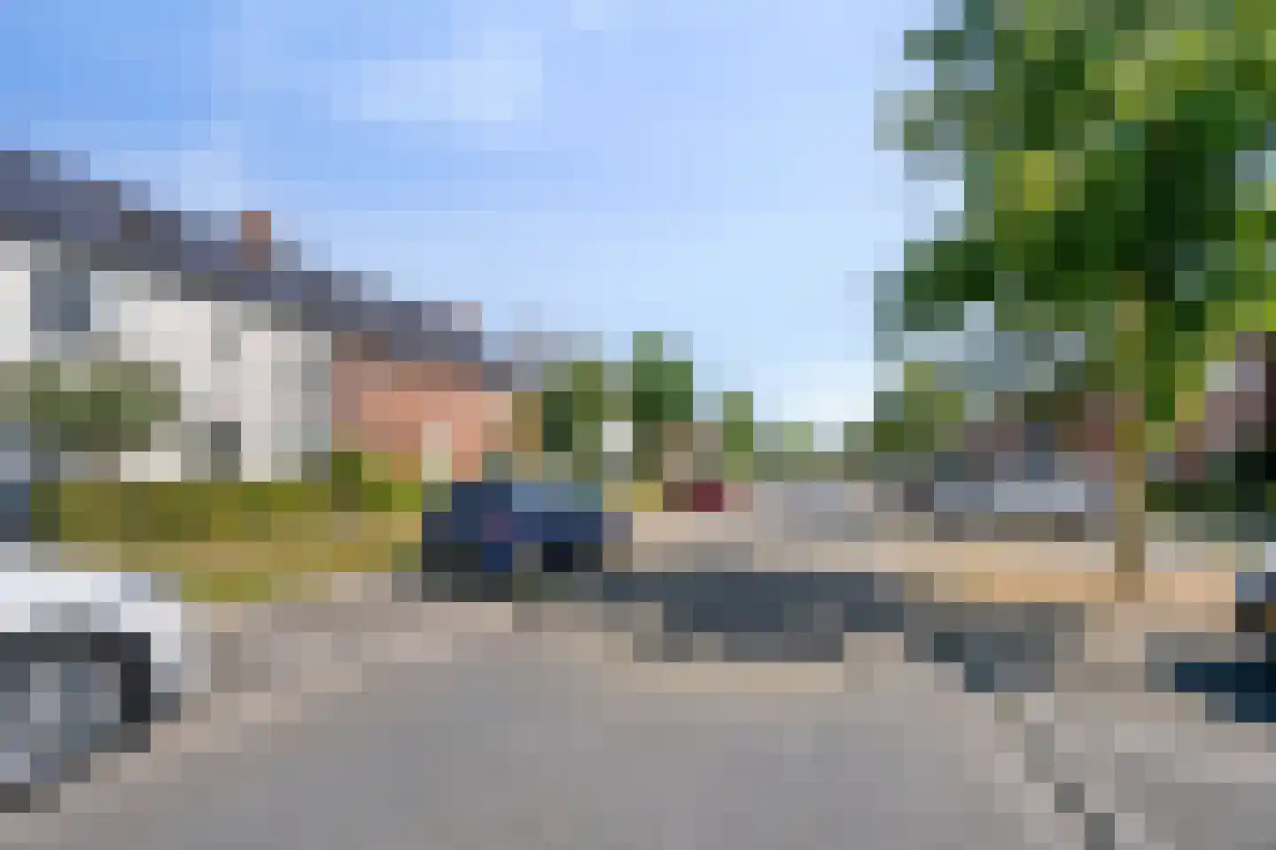 Zebrakever 50 Son en Breugel thumbnail 15