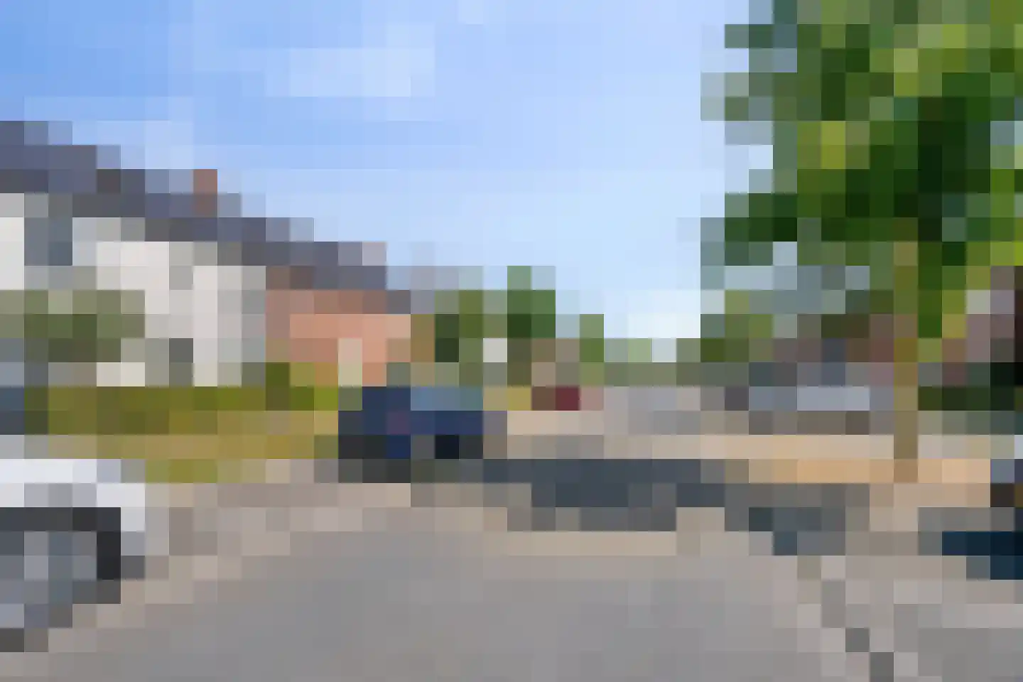 Zebrakever 50 Son en Breugel thumbnail 26