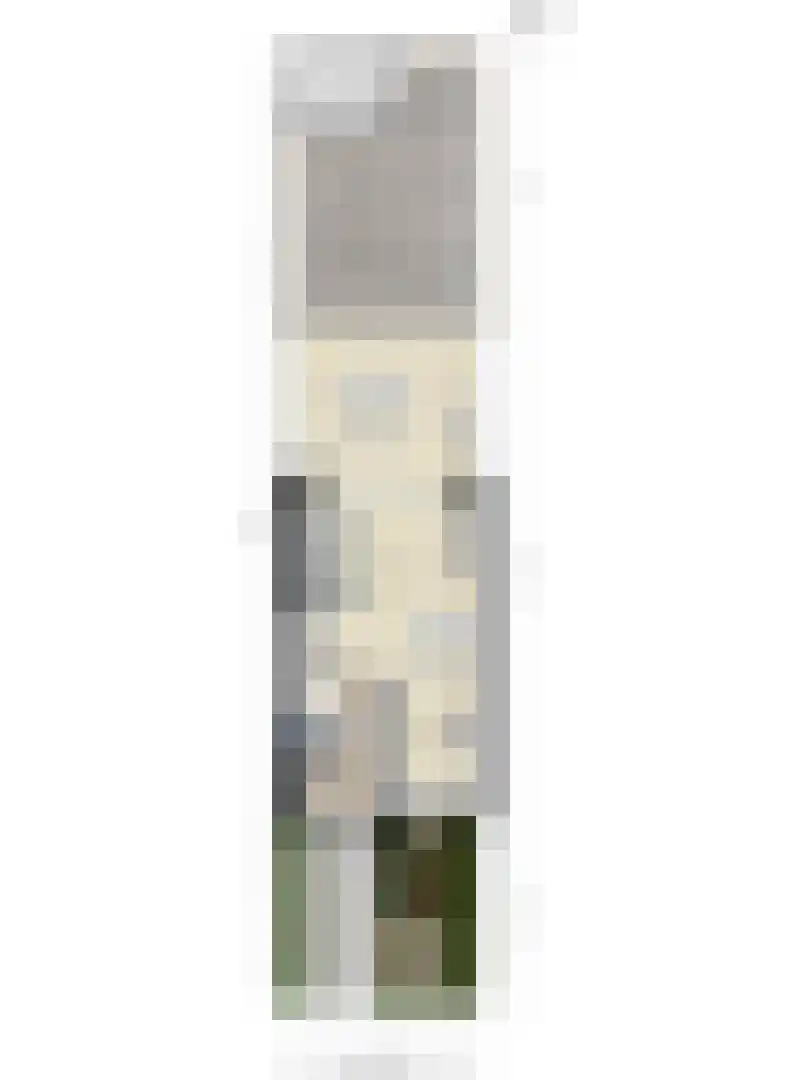 Zebrakever 50 Son en Breugel thumbnail 16