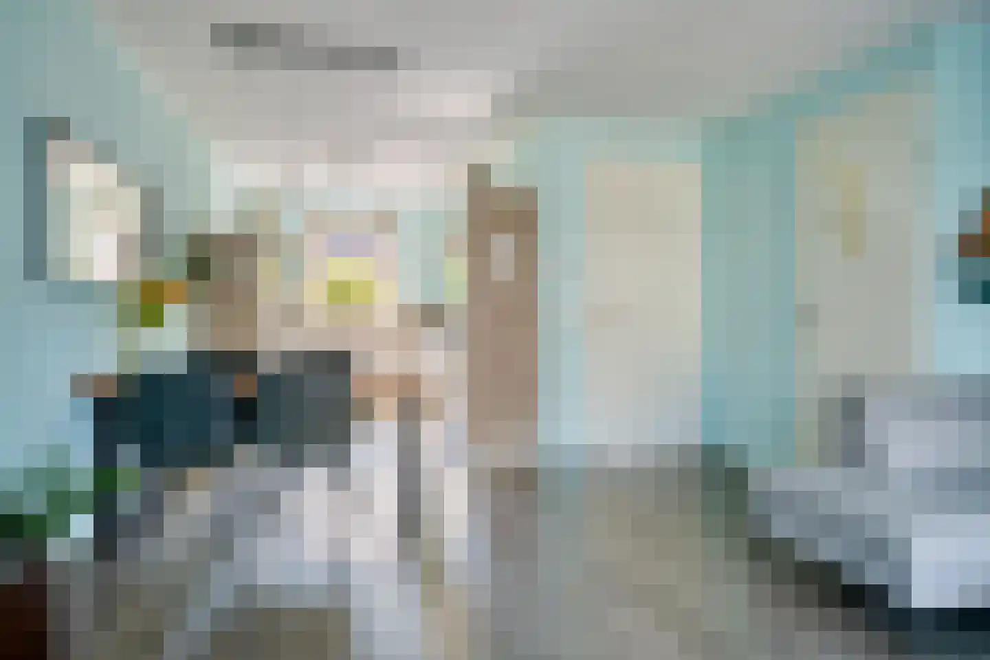 Zebrakever 50 Son en Breugel thumbnail 4