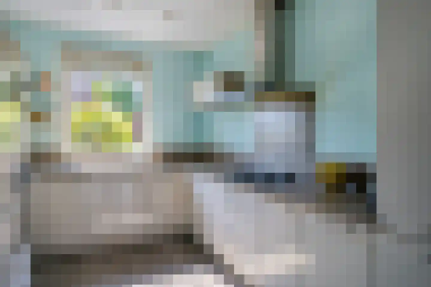 Zebrakever 50 Son en Breugel thumbnail 7