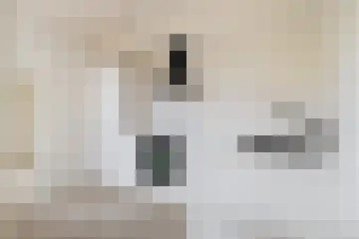 Zebraspoor 151 Maarssen thumbnail 17
