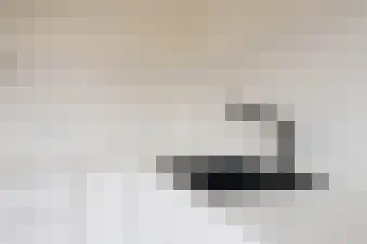 Zebraspoor 151 Maarssen thumbnail 20