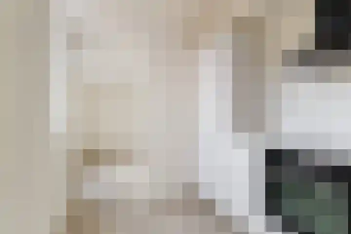 Zebraspoor 151 Maarssen thumbnail 22