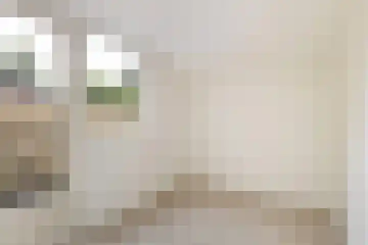 Zebraspoor 151 Maarssen thumbnail 25