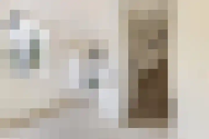 Zebraspoor 151 Maarssen thumbnail 27