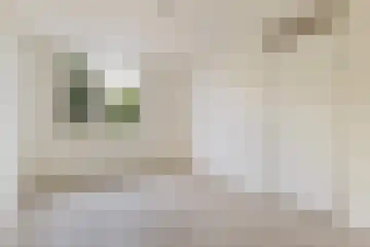 Zebraspoor 151 Maarssen thumbnail 33