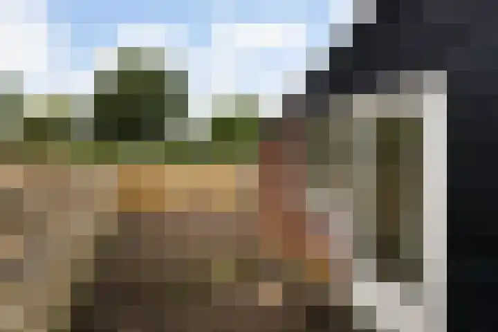 Zebraspoor 151 Maarssen thumbnail 42