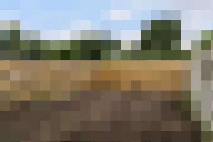 Zebraspoor 151 Maarssen thumbnail 44