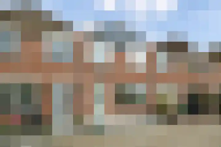 Zebraspoor 151 Maarssen thumbnail 49