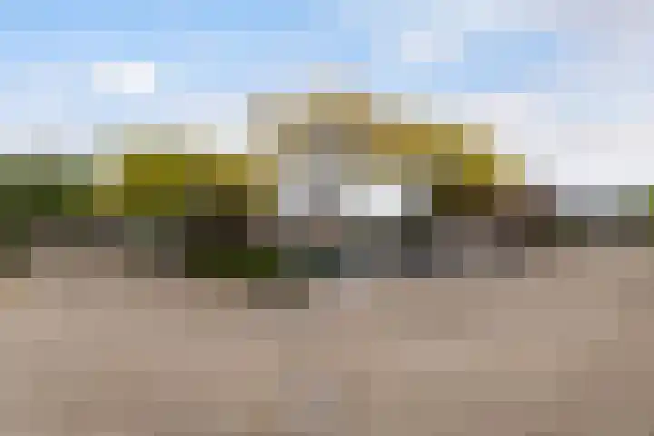 Zebraspoor 151 Maarssen thumbnail 50