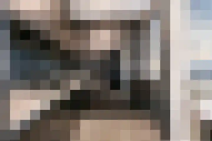 Zebraspoor 165 Maarssen thumbnail 10