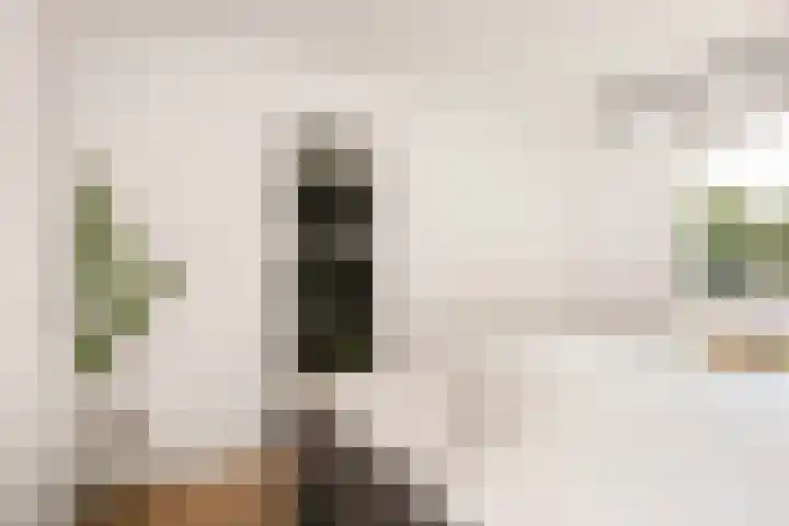 Zebraspoor 165 Maarssen thumbnail 15